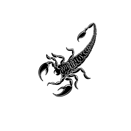 tatouage scorpion en noir design epure et symbolique