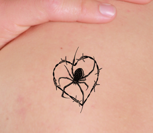 Aranha do amor