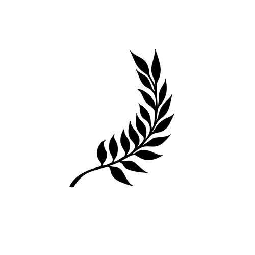 Ramo minimalista e elegante