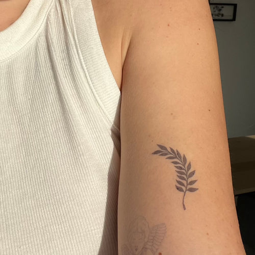 Ramo minimalista e elegante