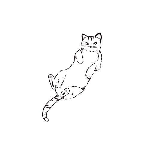 Gato minimalista