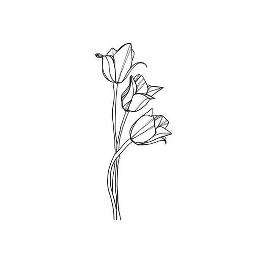 Tatuagem de tulipa