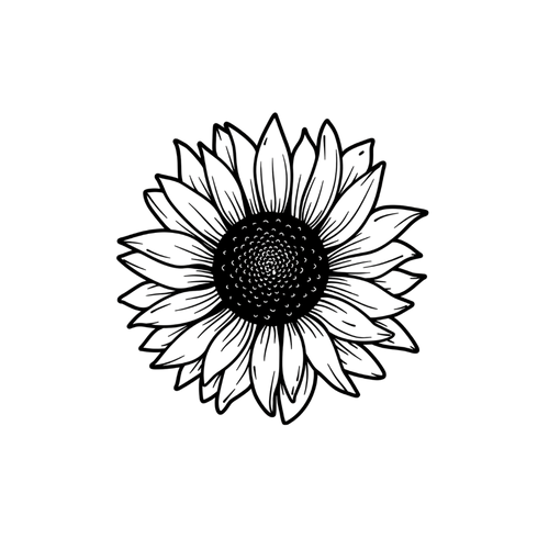 Girassol minimalista