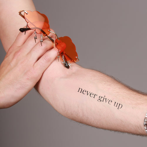Nunca desistir