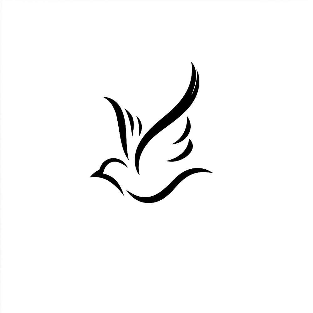 Colombe minimaliste