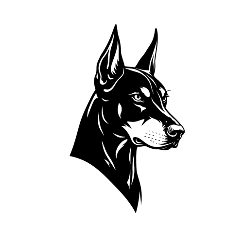 Dobermann