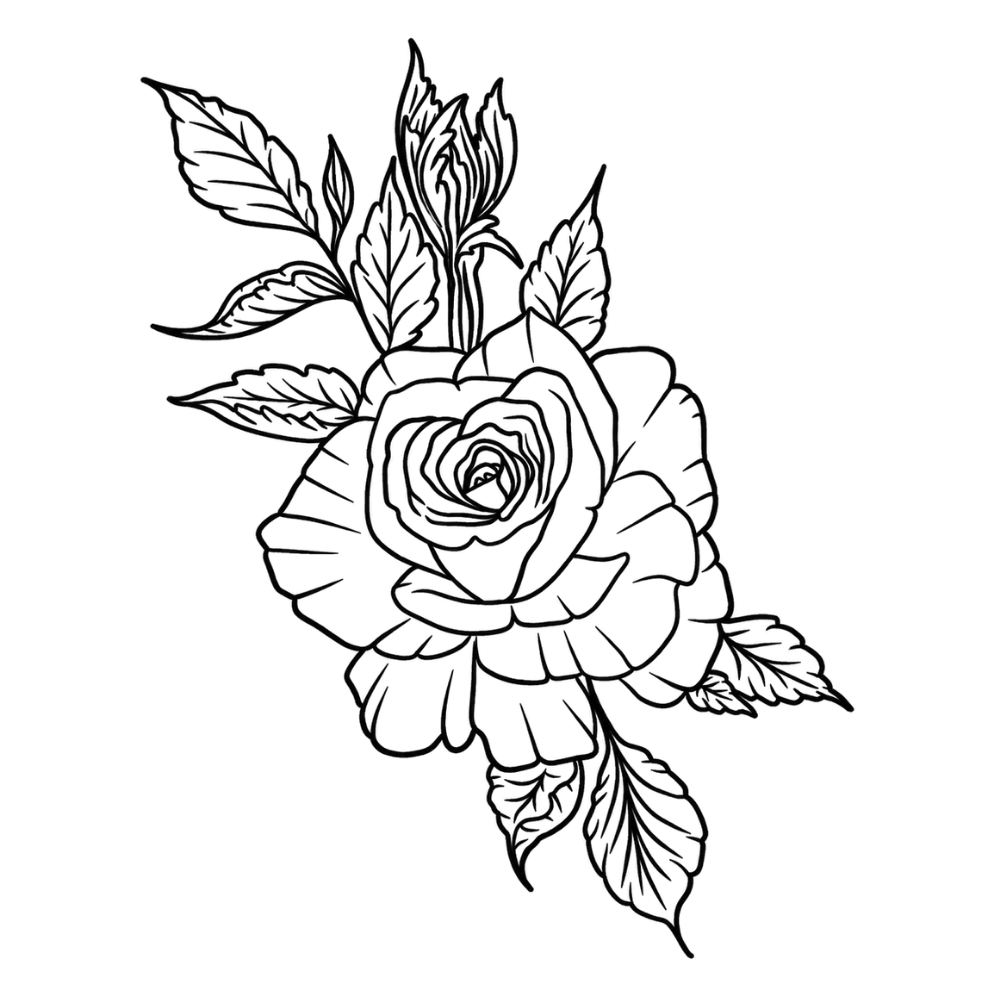 Rosa eterna